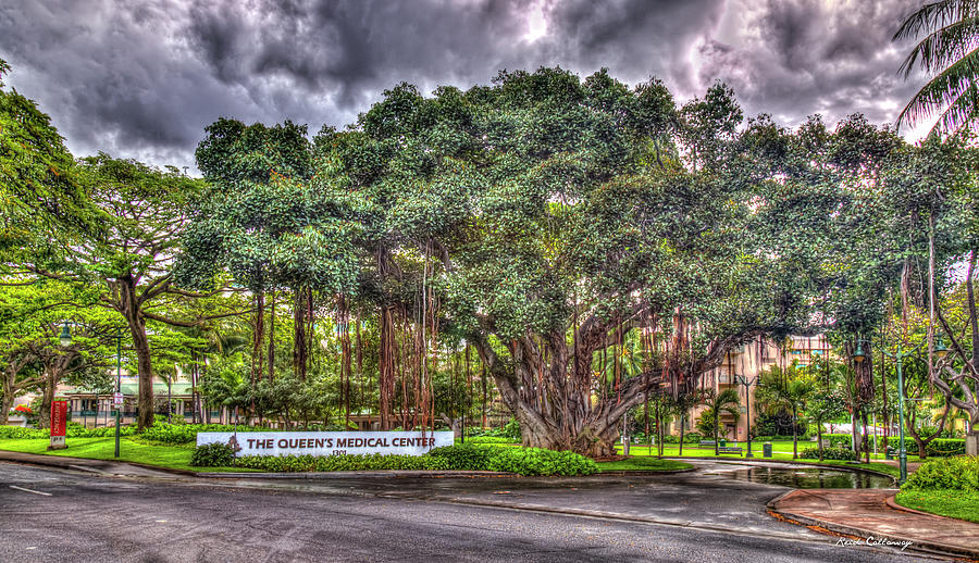 The Queens Medical Center Honolulu Oahu Hawaii Art Photograph by Reid Callaway