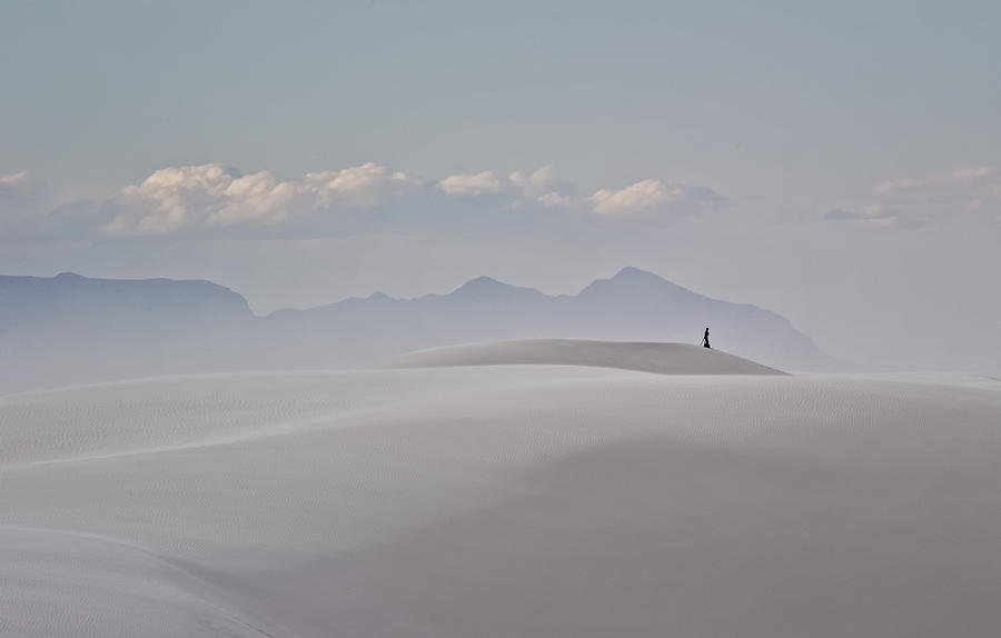 Desert Photograph - The Quiet Observer... by Robert Thomson