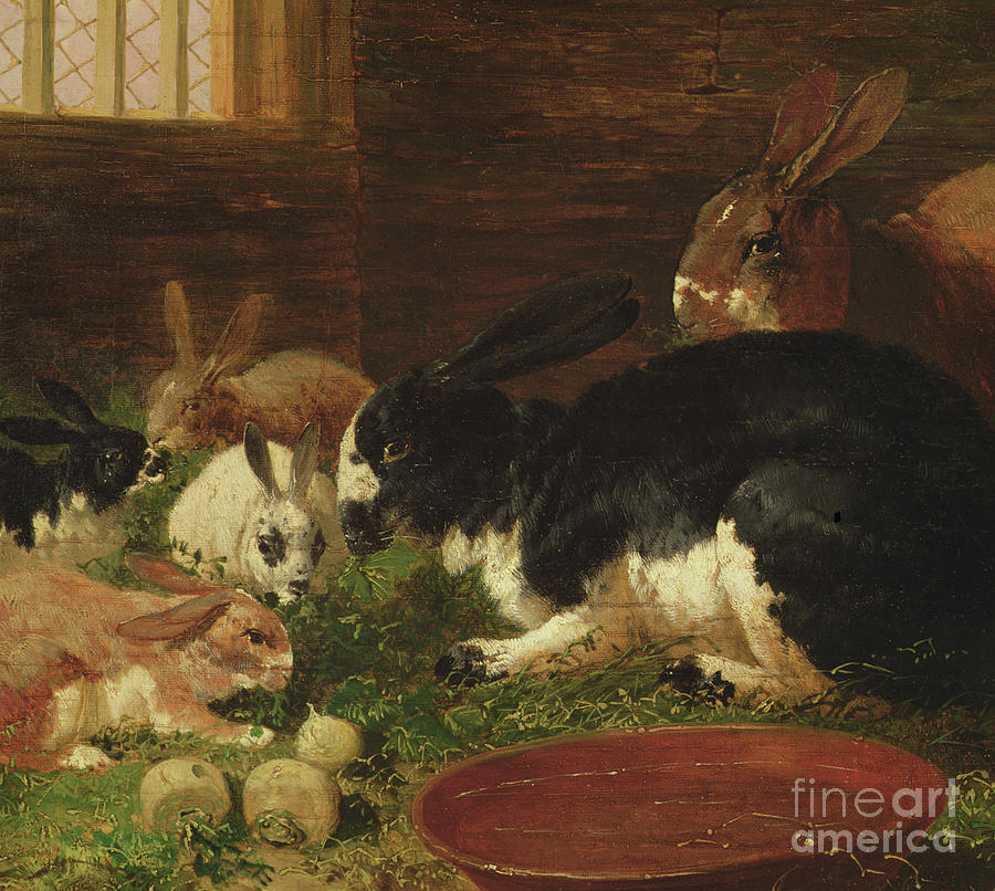 The Rabbit Hutch Painting by John Frederick Herring Snr