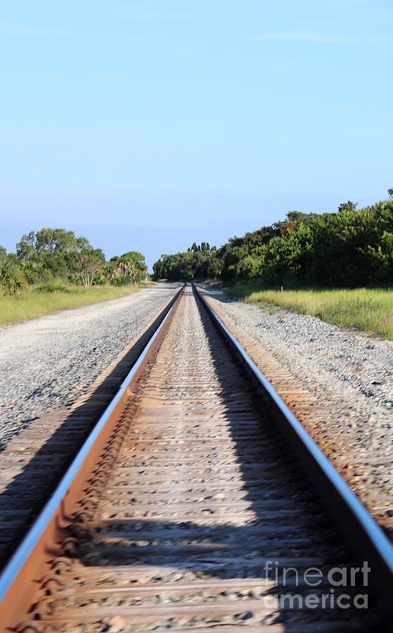 The Rails Photograph by Mesa Teresita