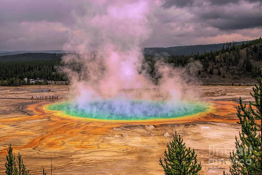 The Rainbow Of Water - Grand Prismatic Spring Photograph