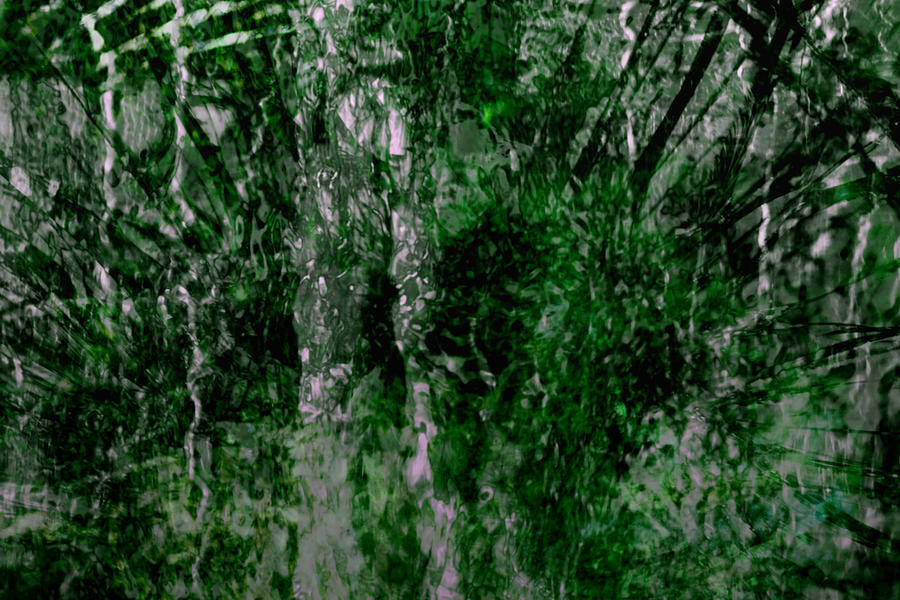 The Rainforest Digital Art by Richard Andrews