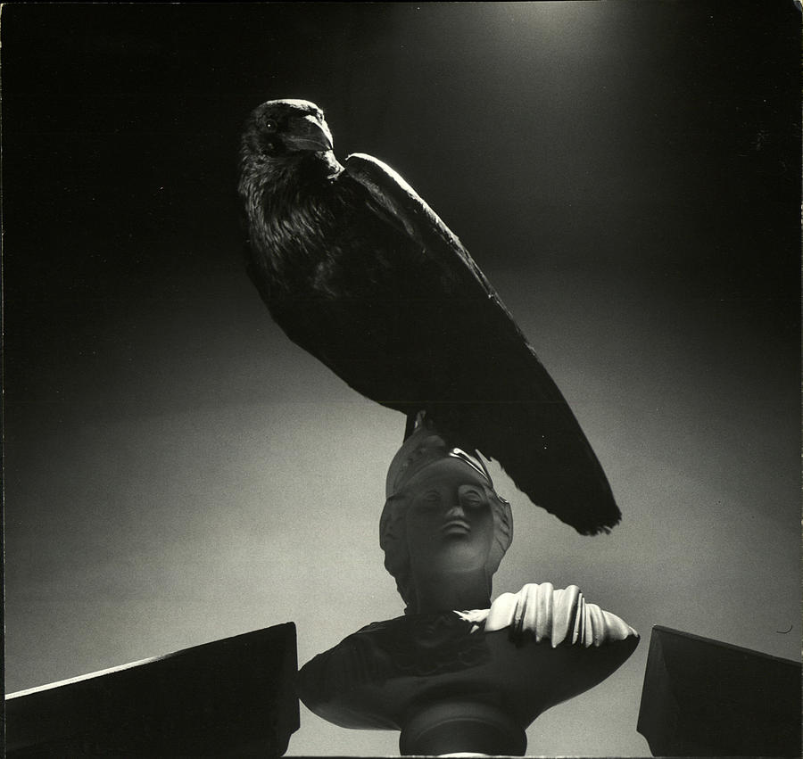Edgar Allan Poe Photograph - The Raven by Nina Leen