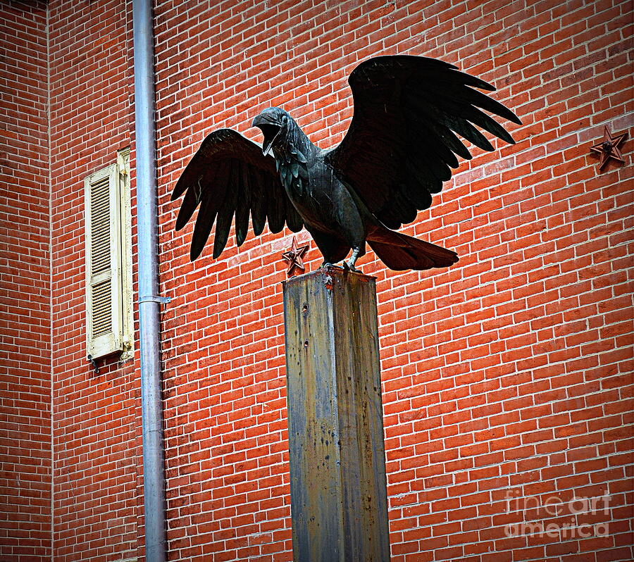 The Raven Photograph by Tru Waters