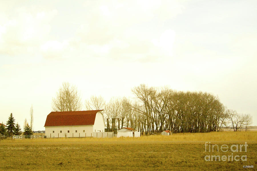 The Red Barn Photograph by Jacquelinemari