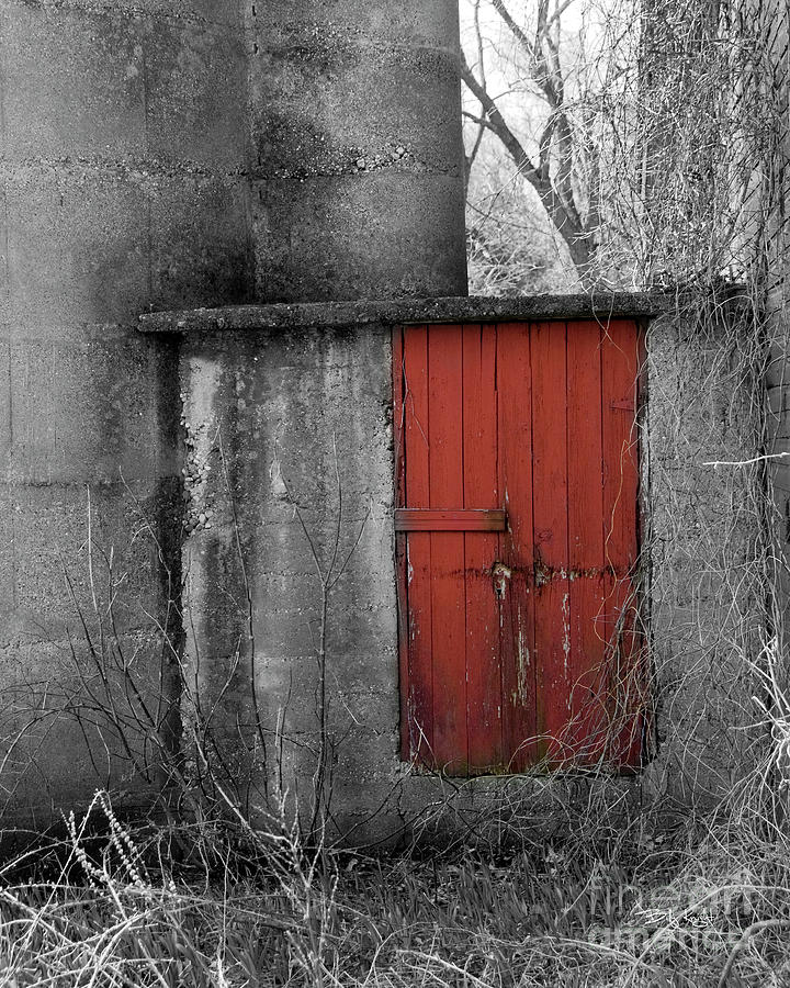 The Red Door Photograph by Billy Knight