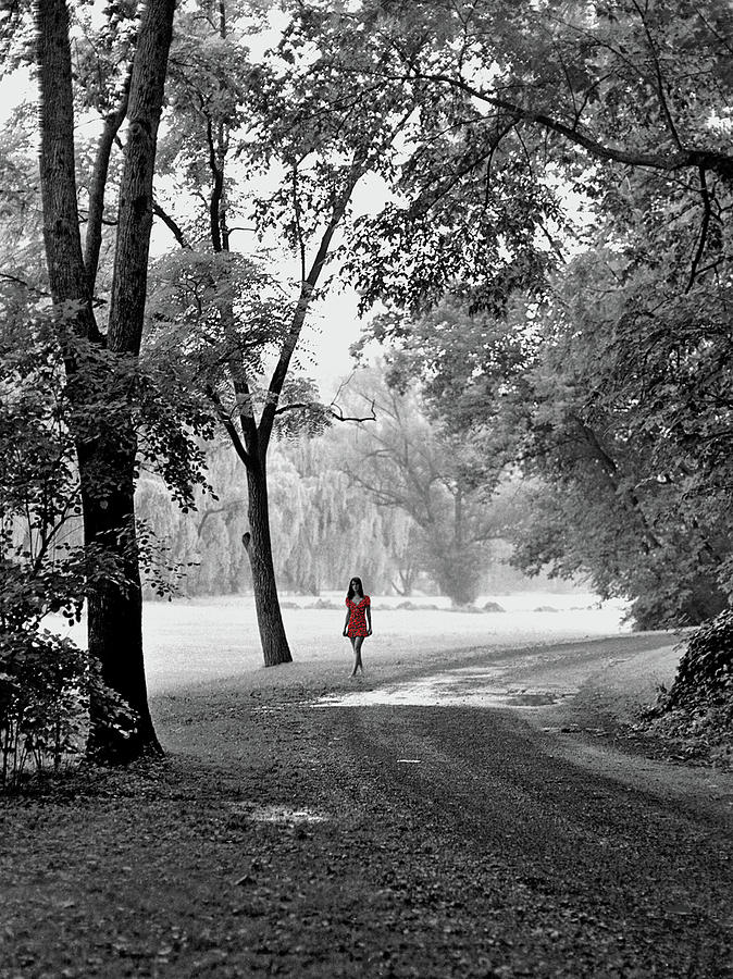 The Red Dress by Karl Ford The Red Dress by Karl Ford