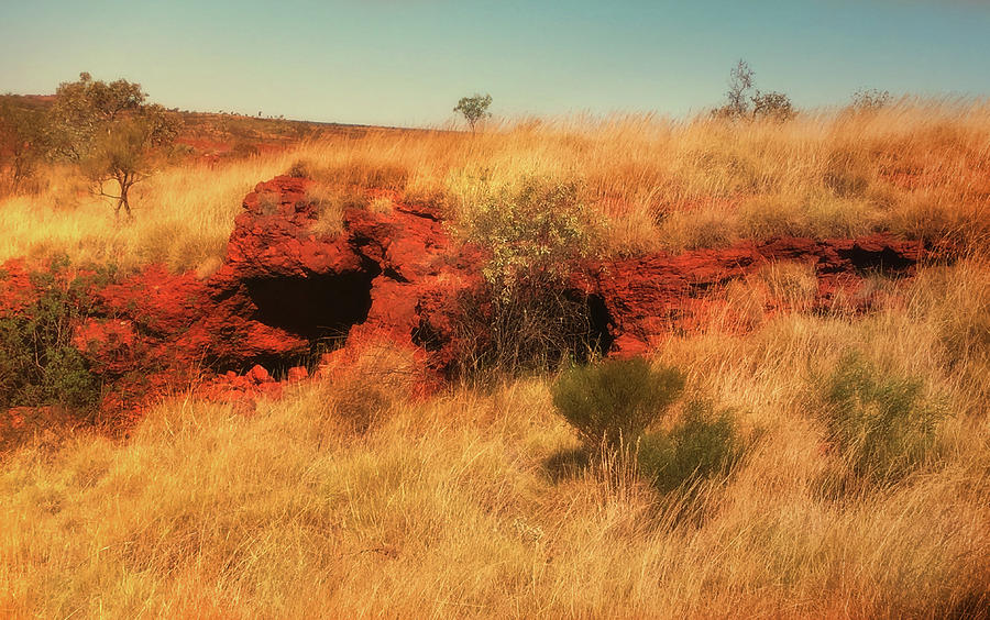 Summer Photograph - The red earth colors of the Pilbara desert region of Western Australia by Roy Jacob