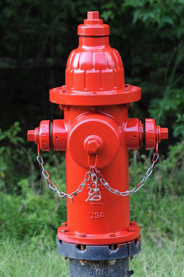 Portrait Photograph - The Red Fire Hydrant by Daniel Ladd