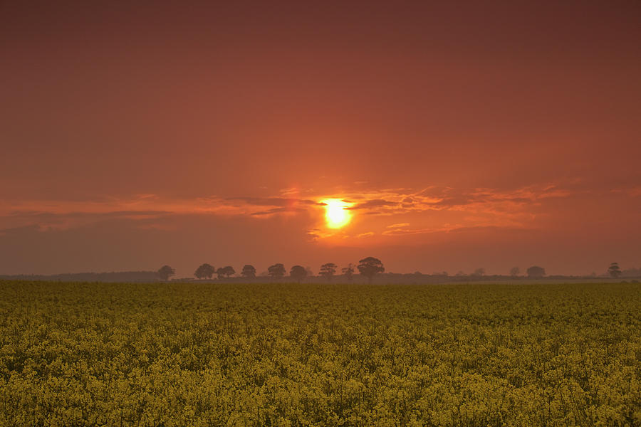 The Red Glow Of A Sunset Over A Field Photograph by Design Pics / John Short