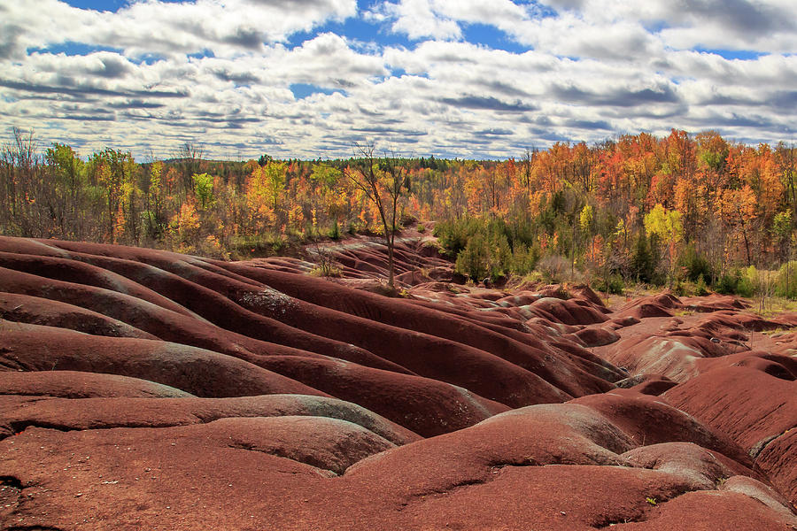 The Red Hills of Caledon Photograph by Gary Hall