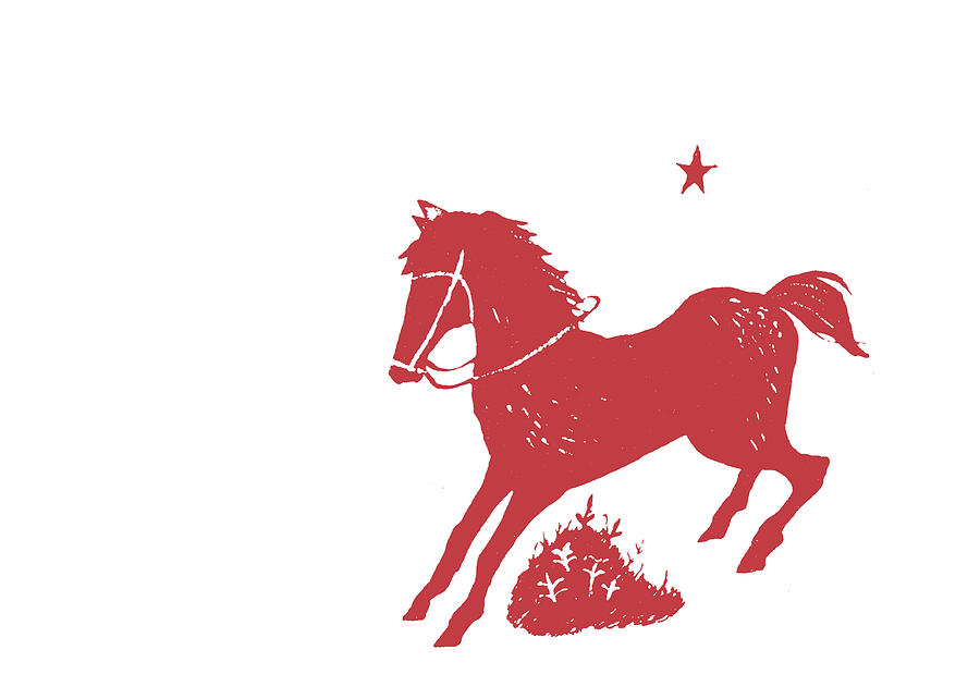 THE RED PONY by Dressage Design THE RED PONY by Dressage Design