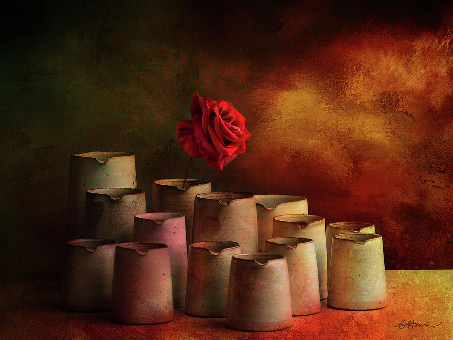 The Red Rose Digital Art by Cindy Collier Harris