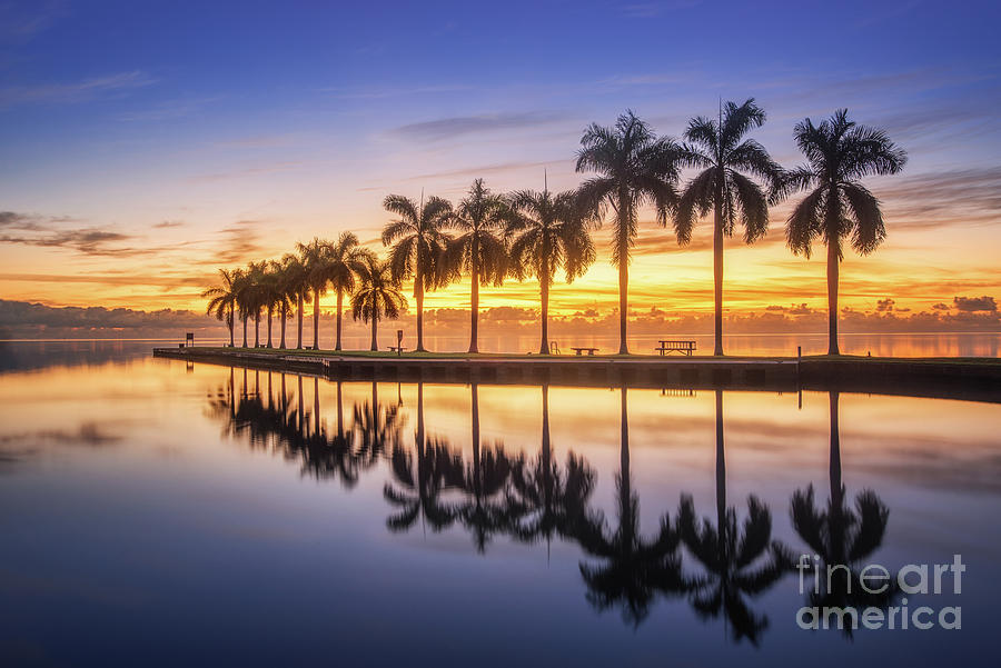 The Reflection Of Palm Tree Photograph by Stanley Chen Xi, Landscape And Architecture Photographer