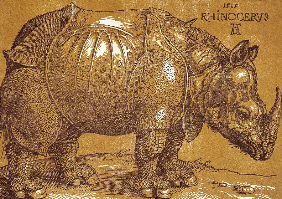 The Rhinoceros, 1515 Pen and ink, wash. Drawing by Albrecht Durer -1471-1528-
