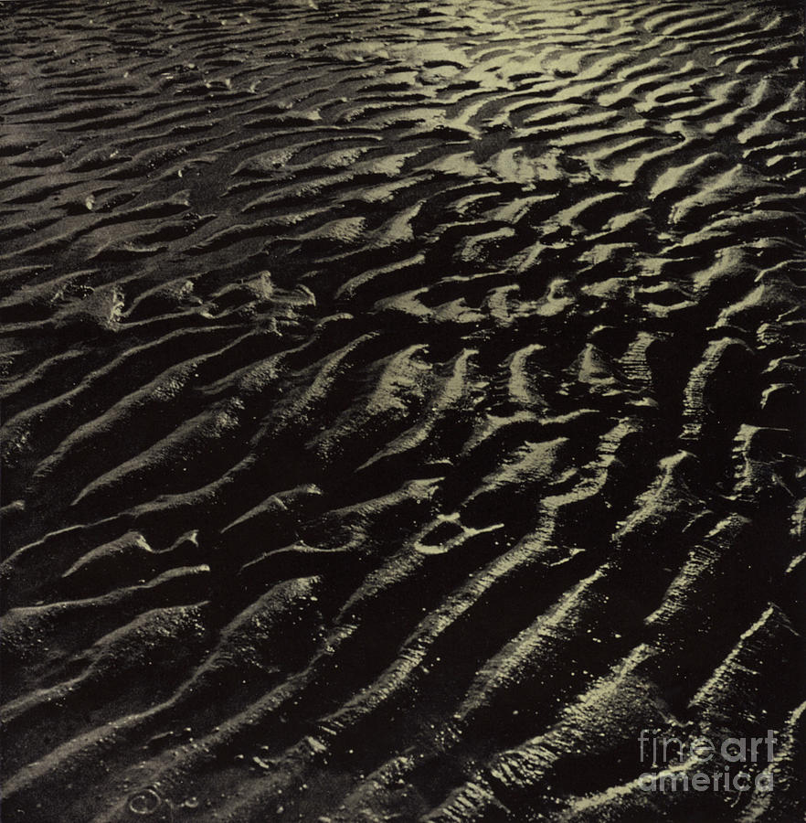 The Ribbed Sea Sand, Coleridge Photograph by Harold Burdekin