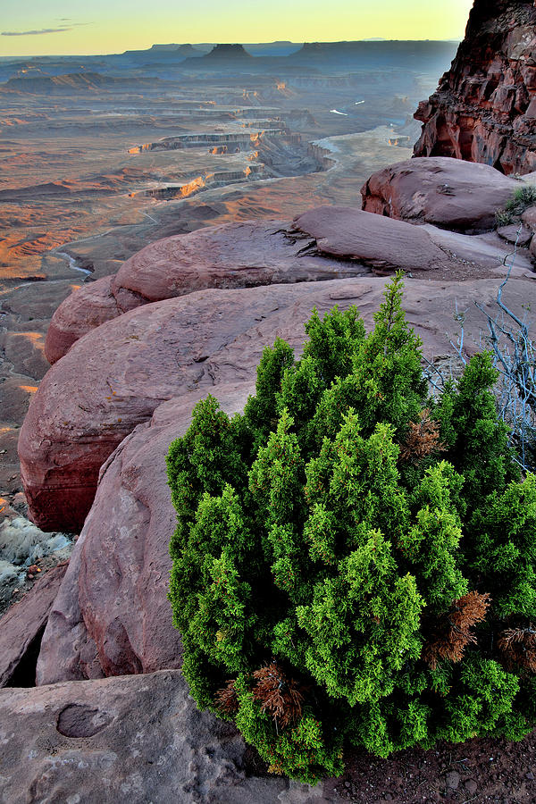 The Rim of Green River Overlook in Canyonlands Photograph by Ray Mathis