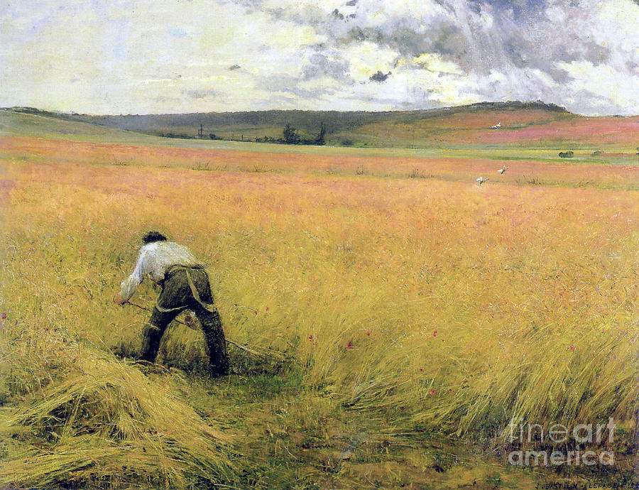 The Ripened Wheat, 1880. Artist Jules Drawing by Heritage Images