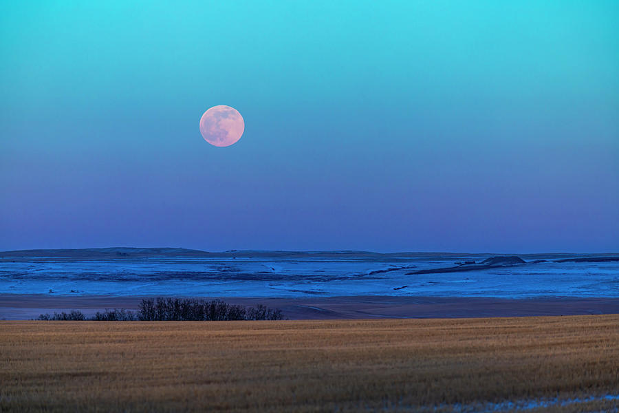 The Rising Full Moon Over The Alberta Photograph by Alan Dyer