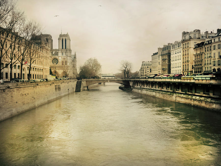 The River Seine And Saint-michel Bridge Photograph by Elizabeth Fernandez