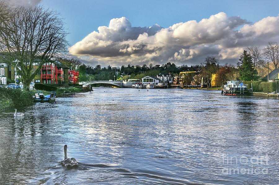 Boat Photograph - The River Thames at Reading by Ian Lewis