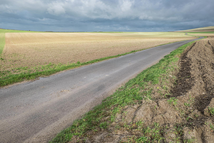 Nature Photograph - The Road Between The Fields by Inge Elewaut