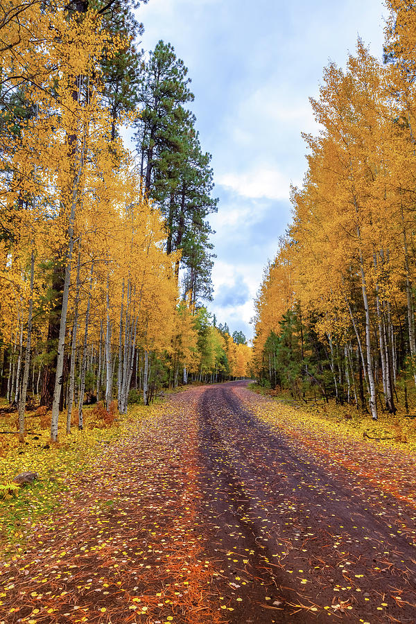 The Road Less Traveled by Rick Furmanek The Road Less Traveled by Rick Furmanek