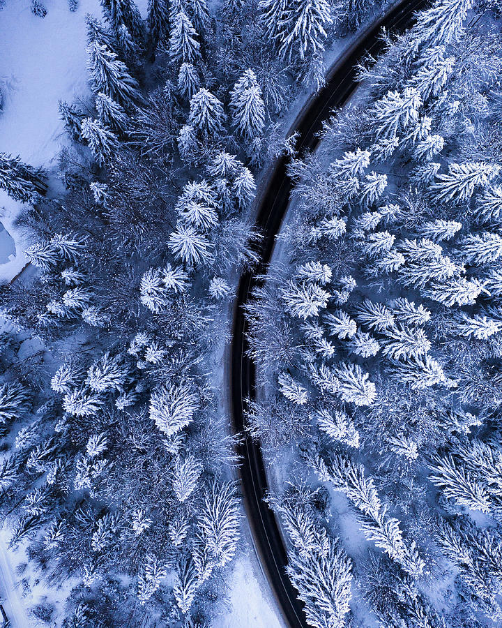 The Road Not Taken Photograph by Razvan - Fine Art America