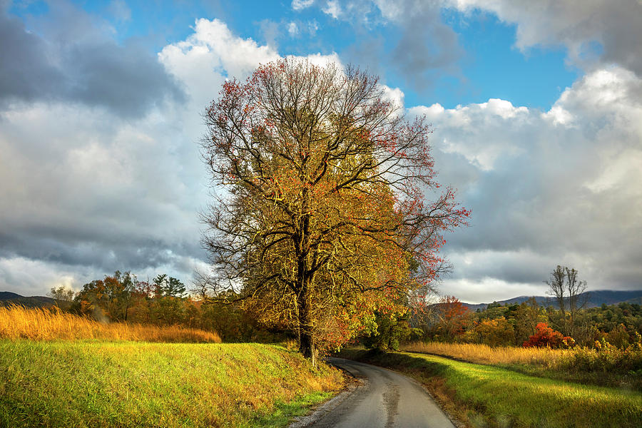 The Road to Autumn Photograph by Debra and Dave Vanderlaan