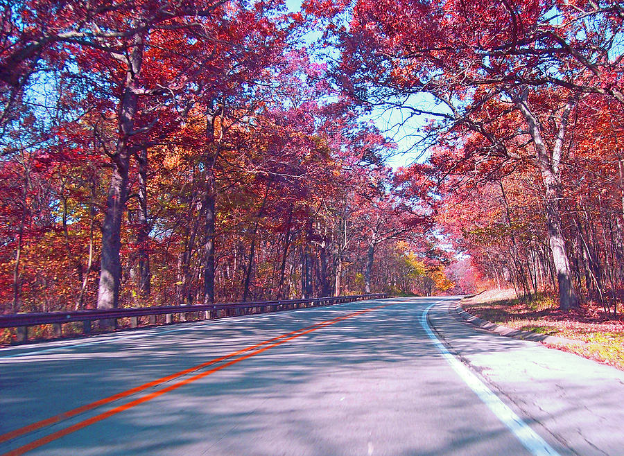 Landscape Photograph - The Road To Fall by Kelly Council Landscape Photograph - The Road To Fall by Kelly Council