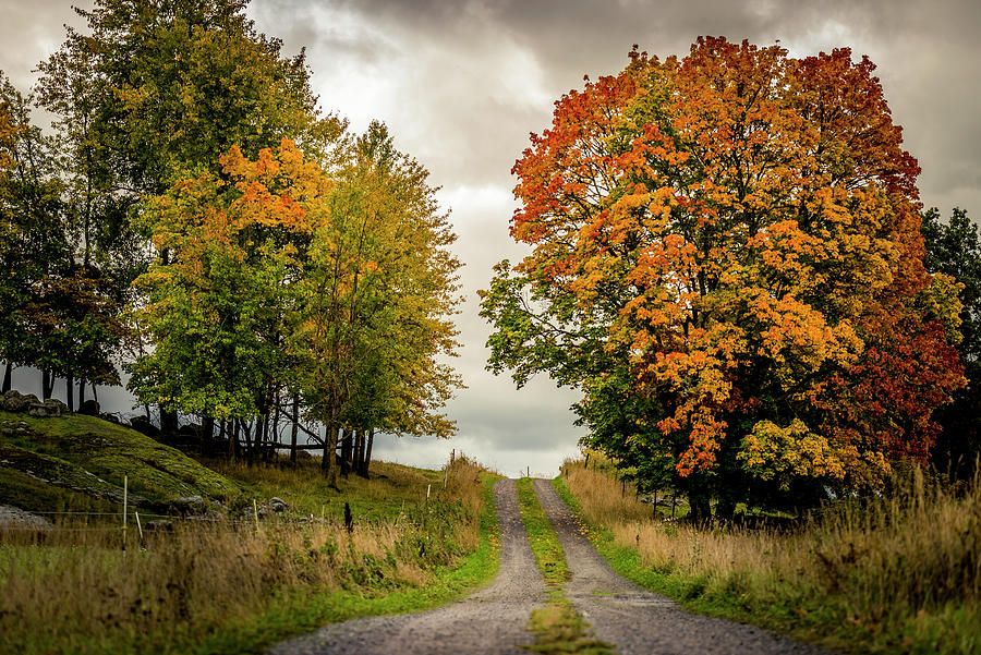 The Road To Vallentuna Photograph