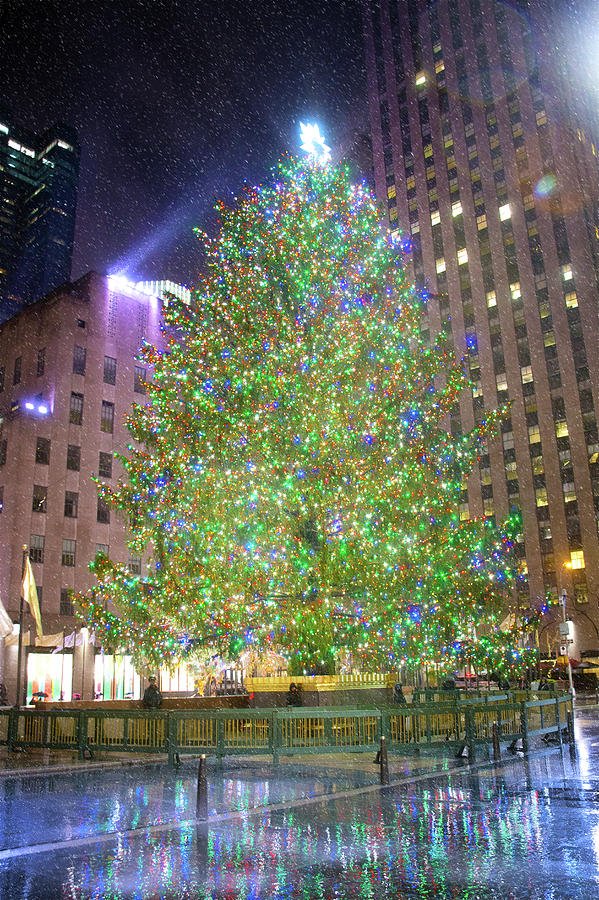 The Rockefeller Center Christmas Tree Photograph by Mark Andrew Thomas
