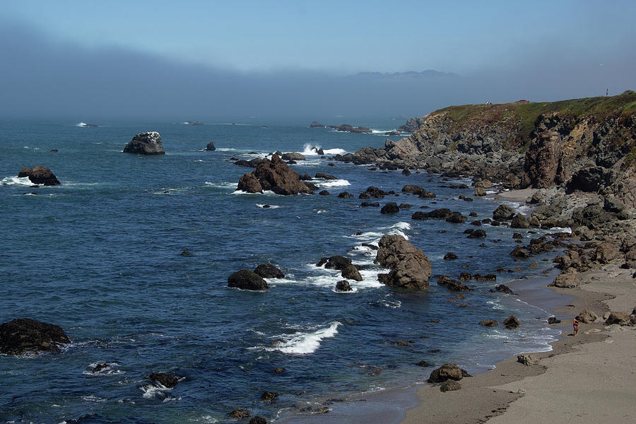 The Rocky Sonoma Coast by Marie Leslie The Rocky Sonoma Coast by Marie Leslie