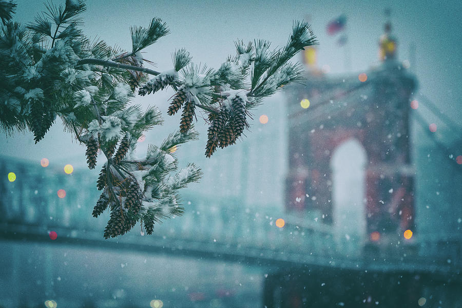 The Roebling in Winter Photograph by Jon Reynolds
