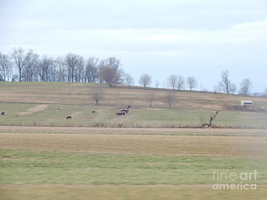 The Rolling Hills of Lancaster County Photograph by Christine Clark