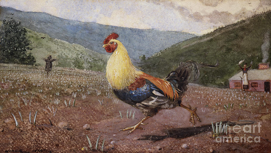 Winslow Homer Painting - The Rooster, 1876 by Winslow Homer