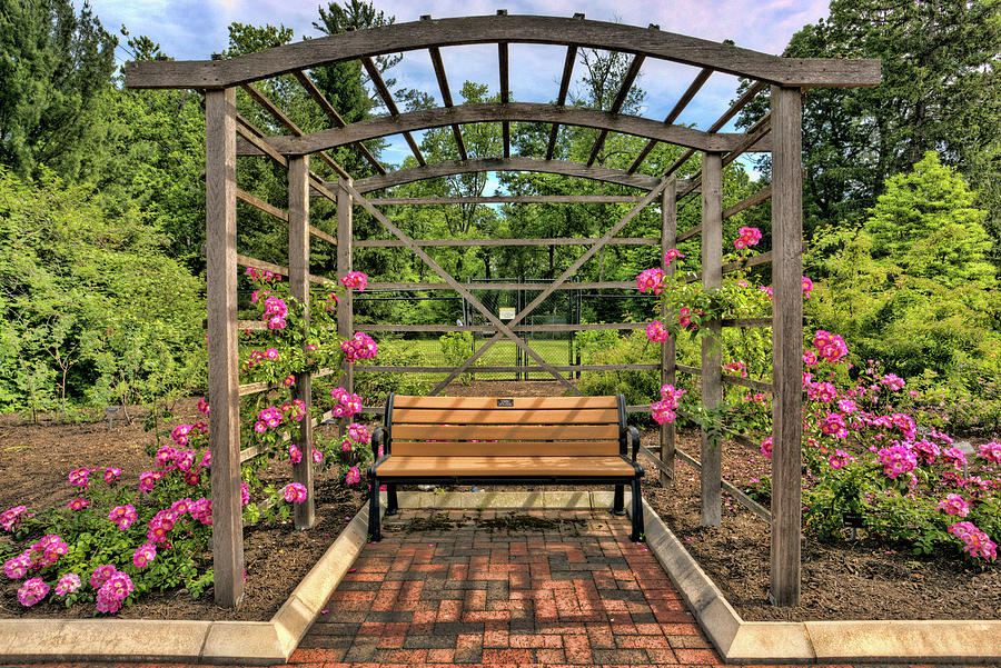 The Rose Garden at Colonial Park, Somerset, New Jersey Photograph by