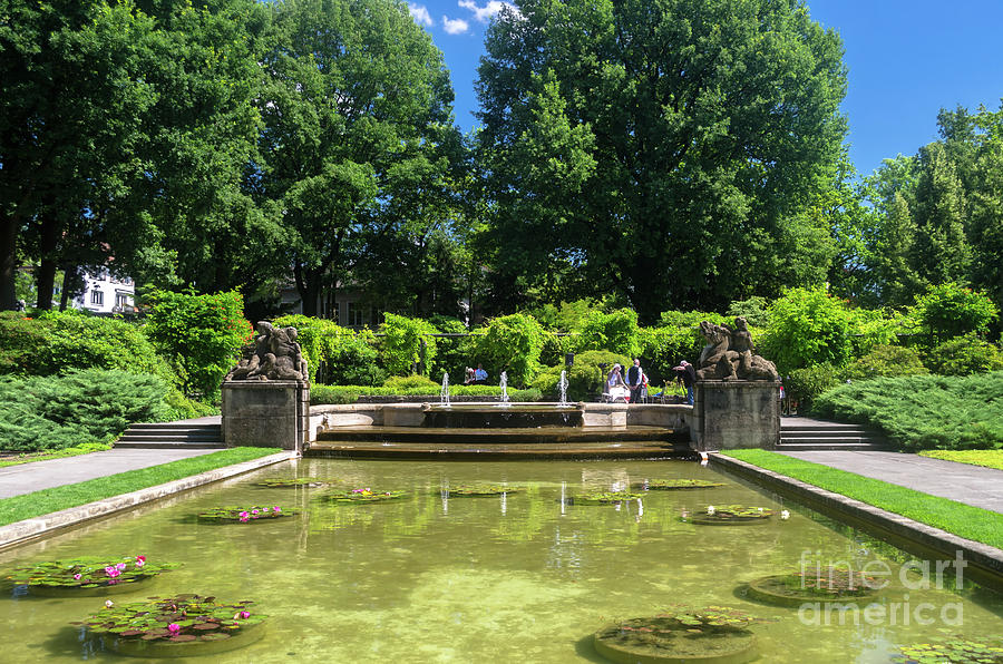 the Rose Garden in Bern Photograph by Michelle Meenawong - Pixels