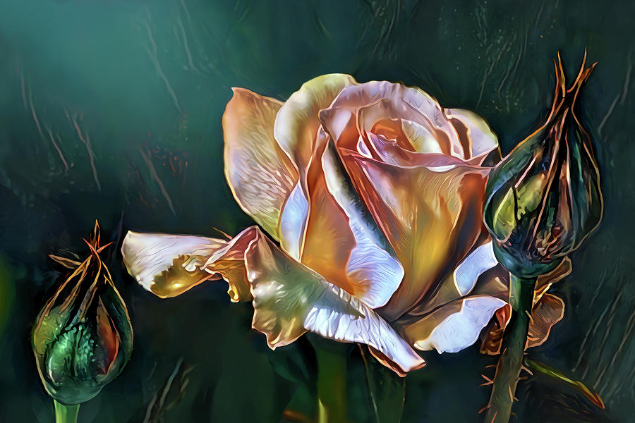 Rose Digital Art - The Rose. Minas Trove. by Artly Studio