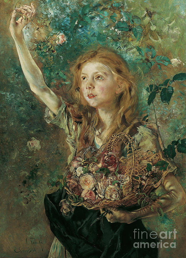 The Rose Picker Drawing by Heritage Images