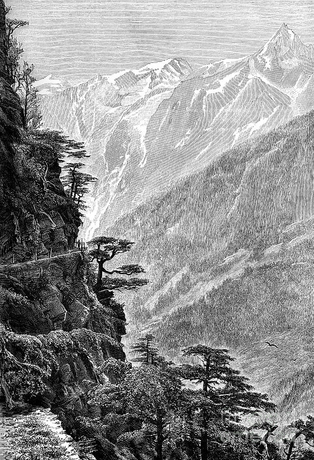 The Route To Tibet, Near Rogi Drawing by Print Collector