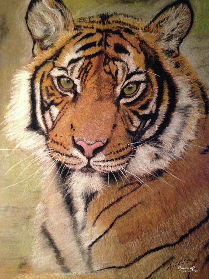 The Royal Tiger by Lance Sheridan-Peel The Royal Tiger by Lance Sheridan-Peel