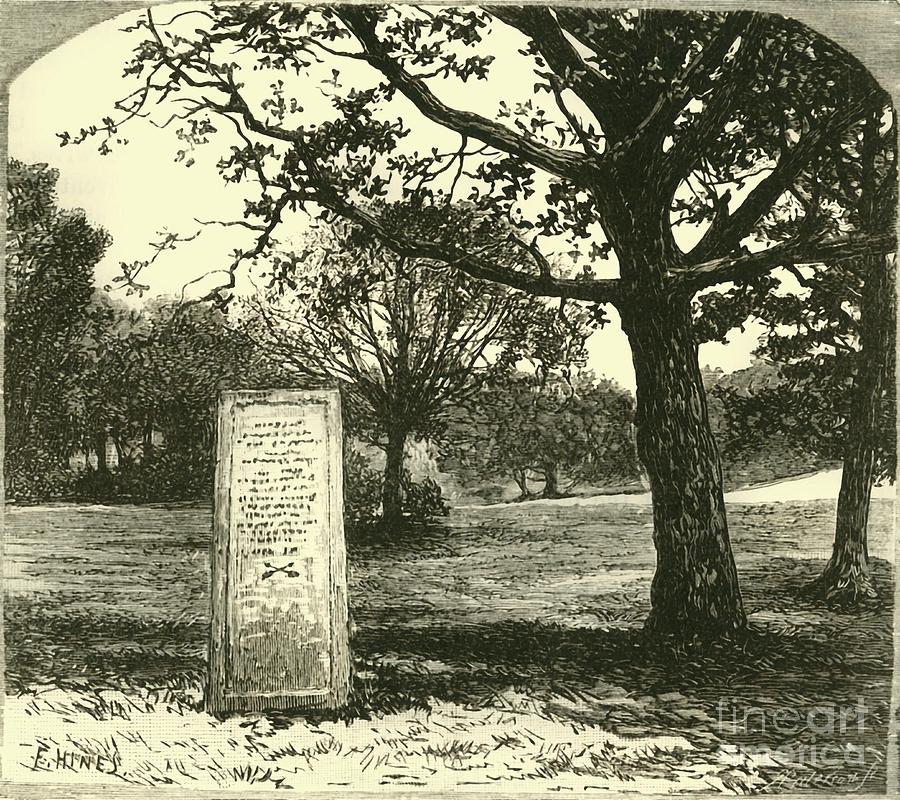 The Rufus Stone In The New Forest Drawing by Print Collector