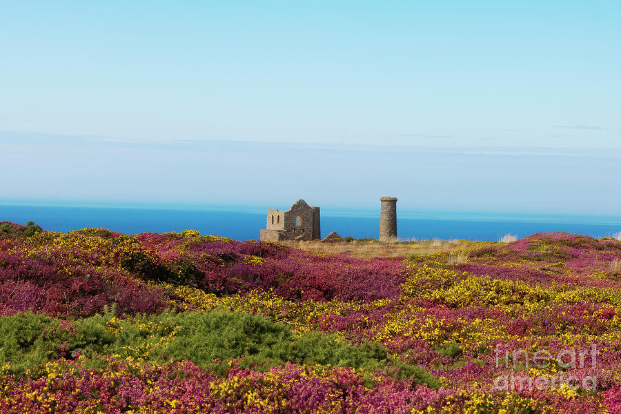 The Ruins of Wheal Coates Photograph by Terri Waters