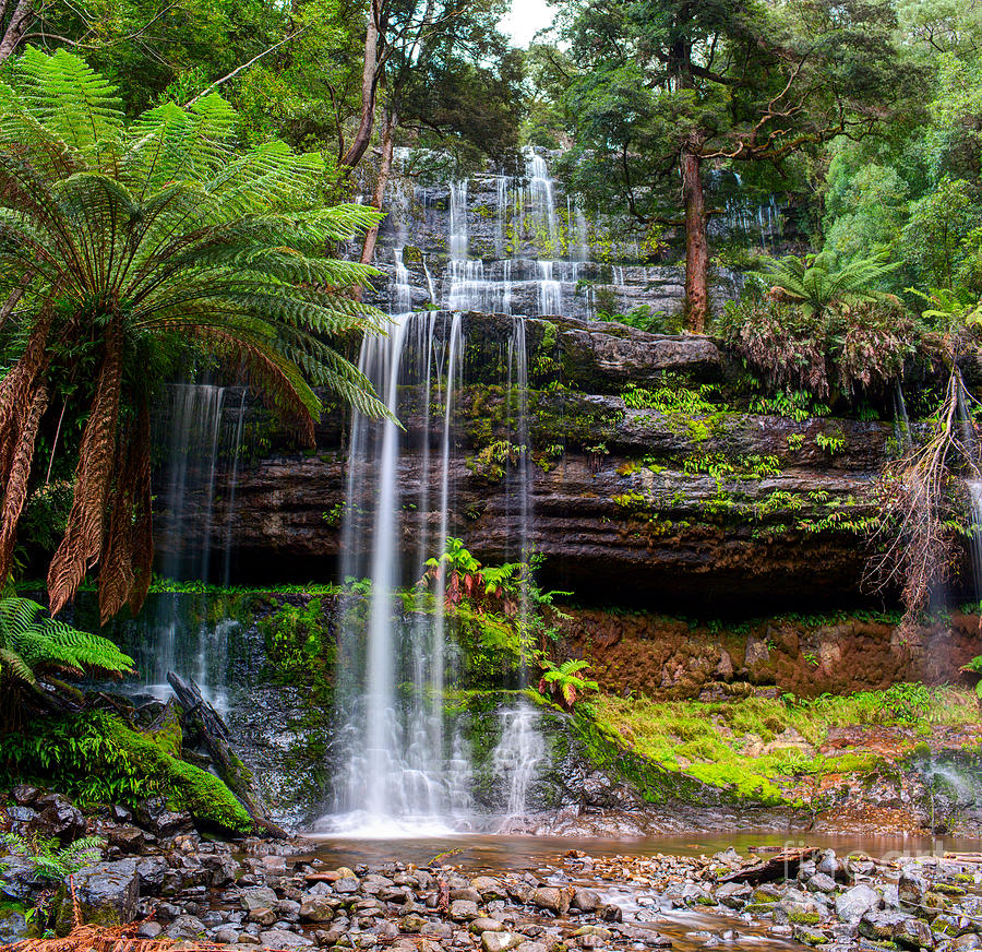 The Russell Falls A Tiered Cascade Photograph by Yevgen Belich - Pixels