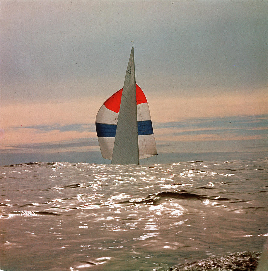 The Sailboat Nefertiti Competing In The Photograph by George Silk The Sailboat Nefertiti Competing In The Photograph by George Silk