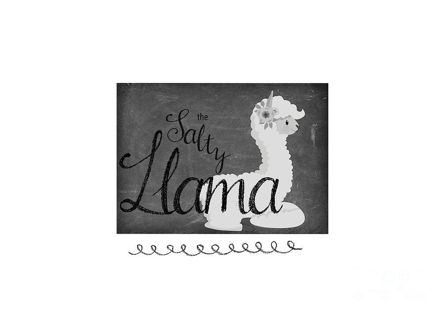 Vintage Digital Art - The Salty Llama by Terry Weaver