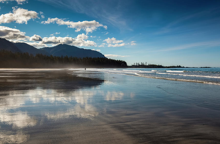 The Sandy Beach At Rugged Point Marine Photograph by Debra Brash / Design Pics