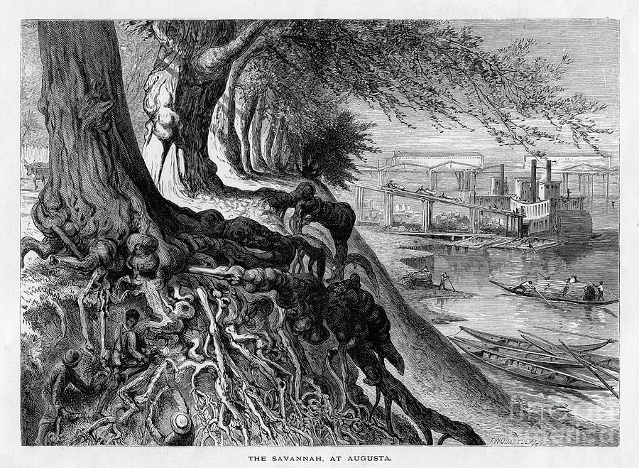 The Savannah, At Augusta, 19th Century Drawing by Print Collector