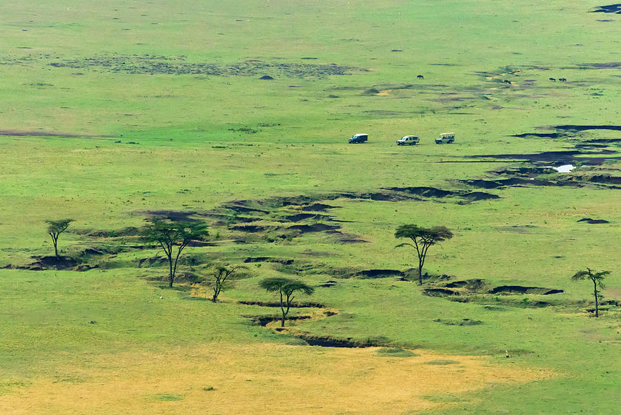 The Savannah, Masai Mara National Photograph by Nico Tondini